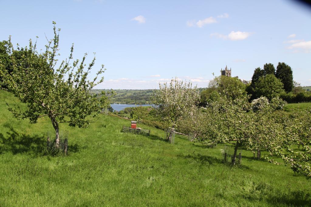 فندق The Seymour Arms Blagdon المظهر الخارجي الصورة