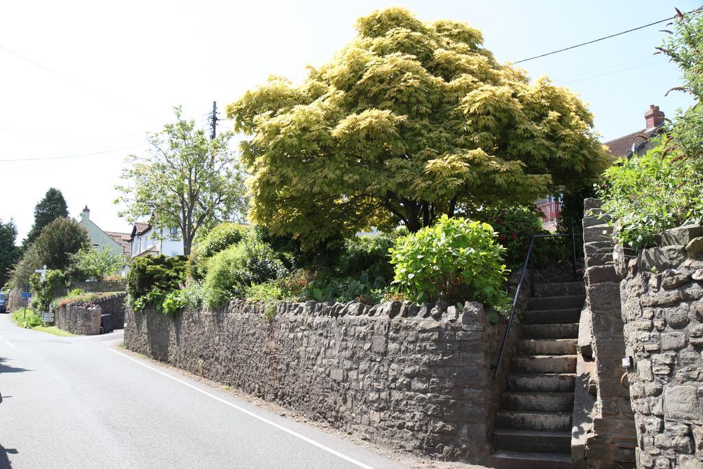 فندق The Seymour Arms Blagdon المظهر الخارجي الصورة